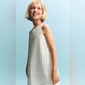 Zara metallic mesh sleeveless dress size 11-12Y NWT